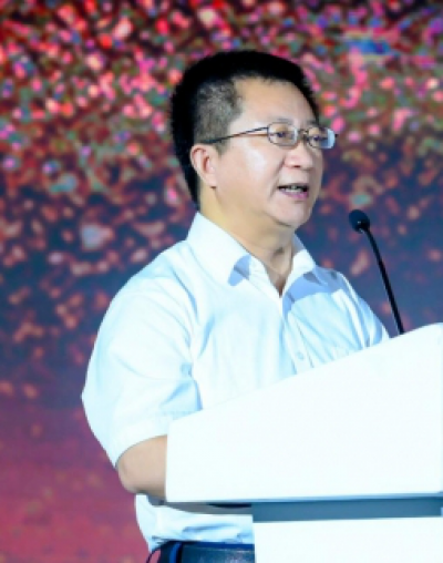 史惠康|工业和信息化部电子信息司副司长