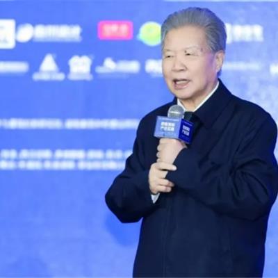 2025年CIPC中国互联网+乡墅产业创业创新大会在长沙召开