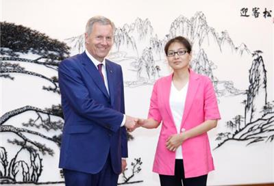 德国前总统武尔夫